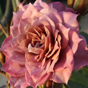 Meet your Posher, Kaitlyn